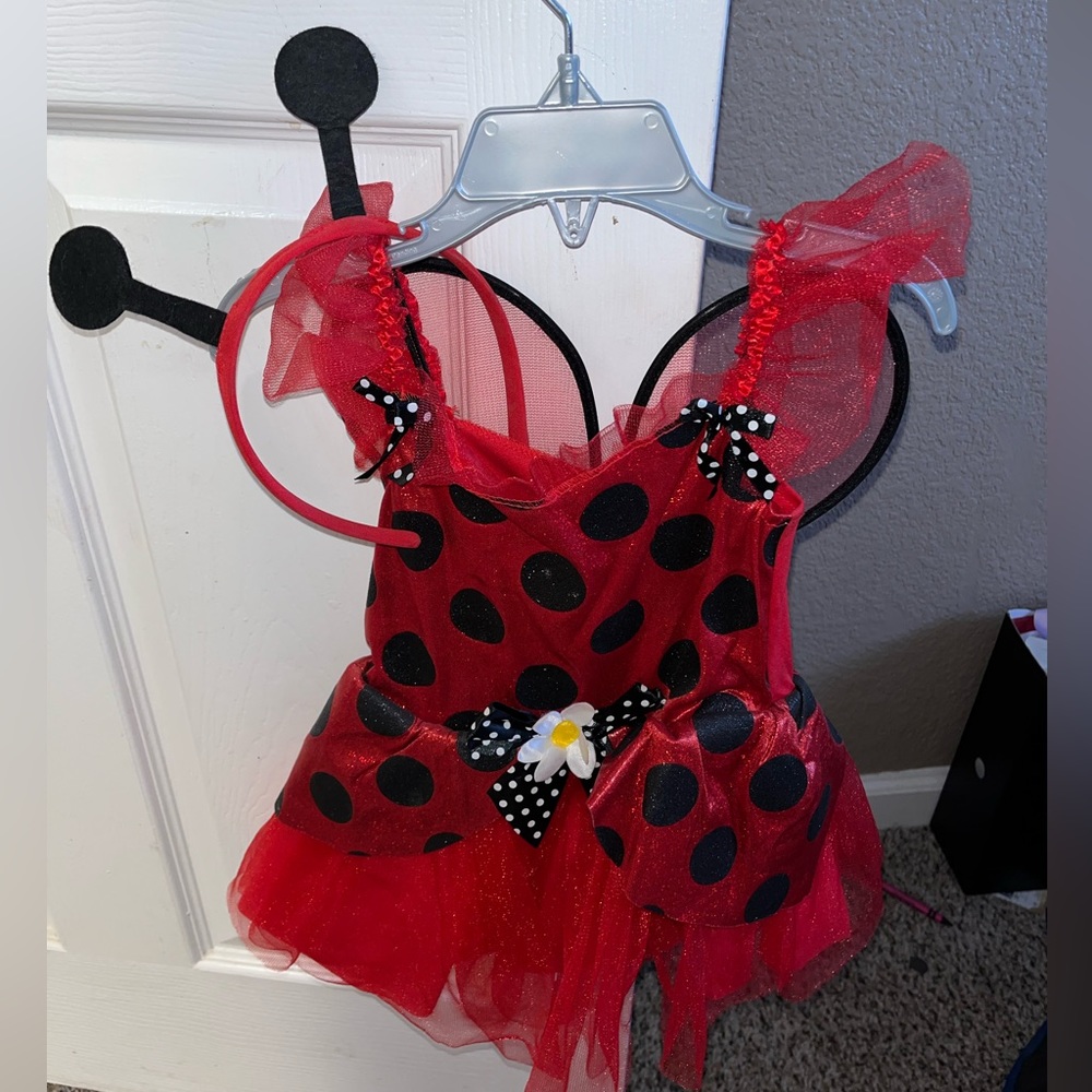 Ladybug costume size 2t